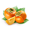 Fruits